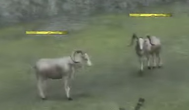 running-sheep-animals-world-nier-replicant-wiki-guide