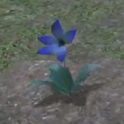 indigo-moon-flower-items-nier-replicant-wiki-guide-250px