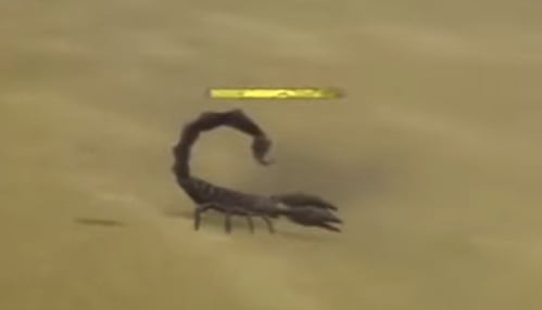 scorpion-desert-enemies-world-nier-replicant-wiki-guide