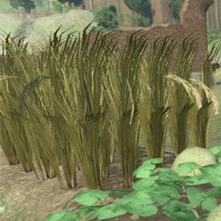 wheat cultivation items items nier replicant wiki guide 250